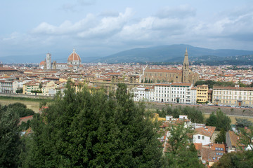 view of Florence with Old Palace and Dome of Cathedral 