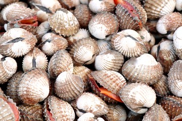 Cockles at street food