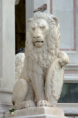 The Marzocco Lion . Piazza della Signoria, Florence, UNESCO World Heritage Site, Tuscany, Italy, Europe 