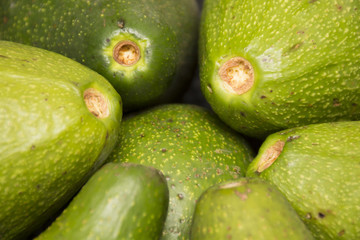 
avocado