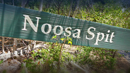 Noosa Main Beach Generic Scenes (Location Noosa Heads, Australia)