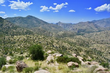 Fototapeta na wymiar Sonoran Desert Landscape