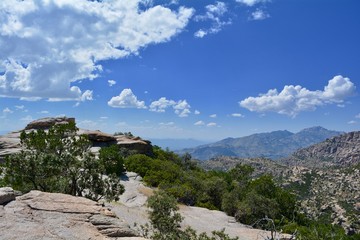 Mount Lemmon Vista