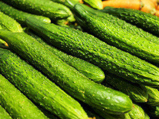 cucumber