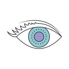 eye with eyelashes in color section silhouette vector illustration