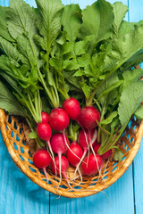 Radish on a blue wooden background