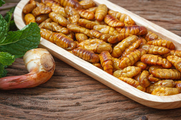 Fried silk-worm chrysalis
