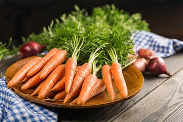 Carrot.