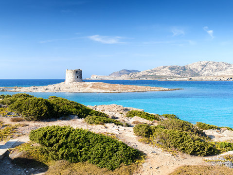 stintino