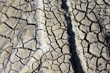 Climate warming dry chapped land