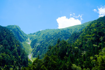 Fototapeta premium 夏の駒ヶ岳