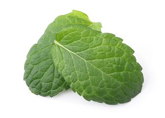 Obraz premium Fresh Mint Leaf