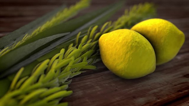 The Four species symbols of the Jewish holiday Sukkoth. 3d rendered animation