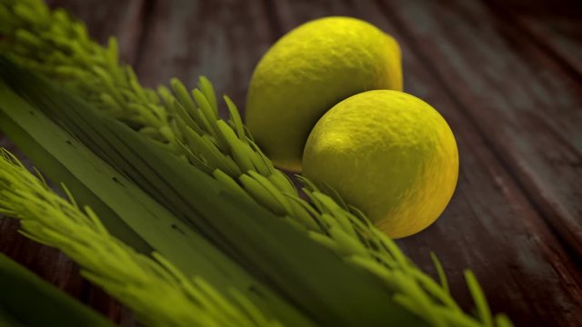 The Four species symbols of the Jewish holiday Sukkoth. 3d rendered animation