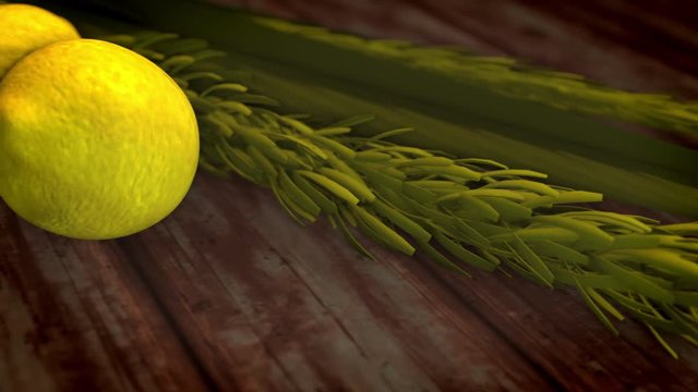 The Four species symbols of the Jewish holiday Sukkoth. 3d rendered animation