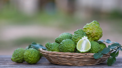 Kaffir lime, Leech lime, Mauritius papeda