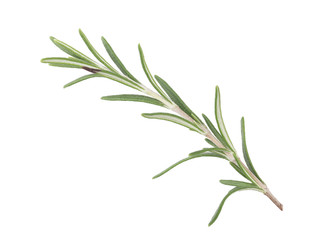 Fresh Rosemary