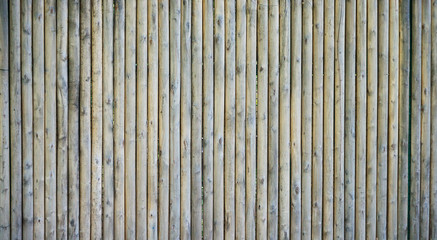 Gray unpainted wooden door
