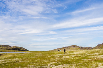 Obraz premium Going to the coast of the Arctic Ocean