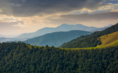 mountain ridge with forest on hills at sunrise. beautiful nature scenery in early autumn