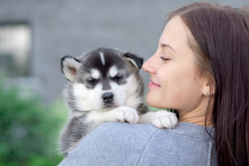 Little pretty husky puppy outdoor in womans hands