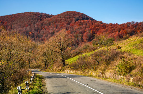 trees by the road in late autumn countryside. dangerous transportation area in mountains