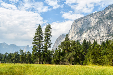 yosemite valley landscape at summer time