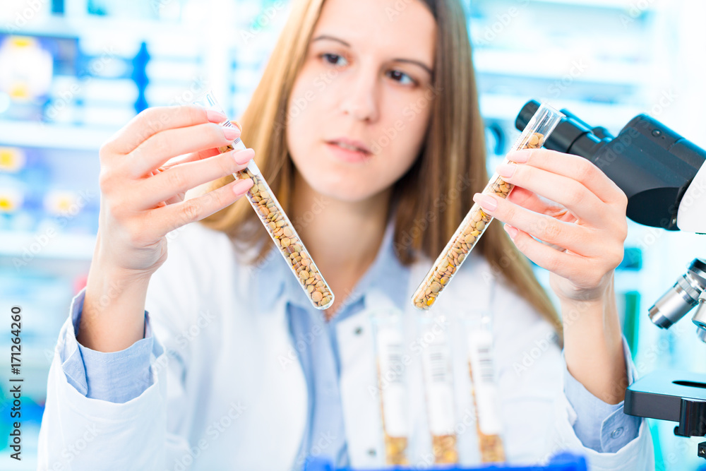 Wall mural Selective and genetic work with seeds and grains in a scientific laboratory. Food quality control