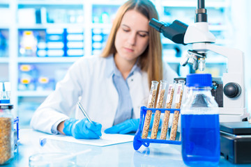 Fototapeta premium Selective and genetic work with seeds and grains in a scientific laboratory. Food quality control