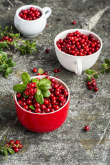 Fresh cranberry or cowberry, lingonberry top view
