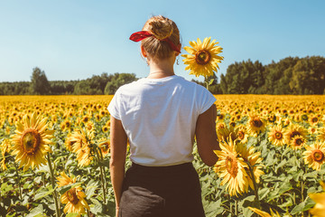 Beautiful stylish hippie girl on the sunflower field