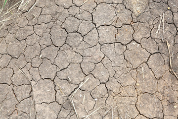 cracked clay ground.