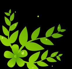 Green Leaves Floral Background