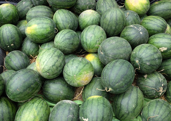Many big sweet green watermelons.
