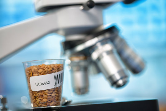 Seeds and cereals in the laboratory of food quality