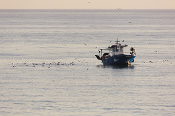 Obraz premium Barca da pesca con gabbiani