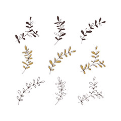 Vector Christmas floral element