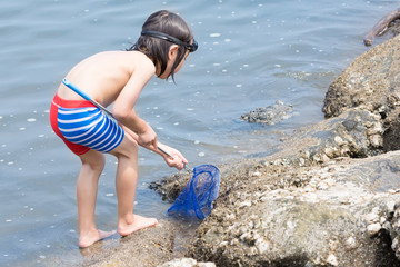 海で遊ぶ子供、蟹取り、網