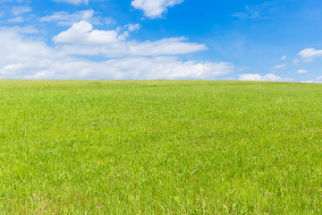 Obraz na płótnie Canvas green field and blue sky with light clouds