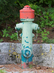 Green fire hydrant on a city sidewalk