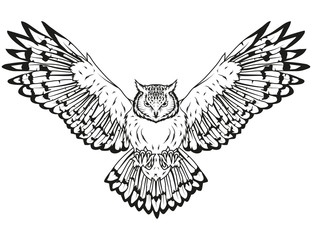 Fototapeta premium Owl logo