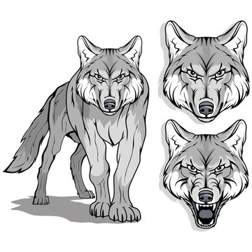 Wolf logo