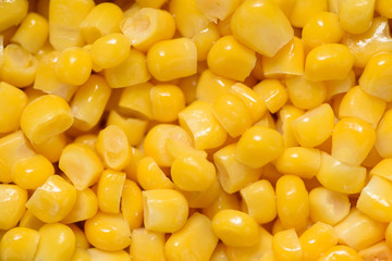 Yellow corn kernels background.