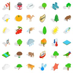 Tiger icons set, isometric style