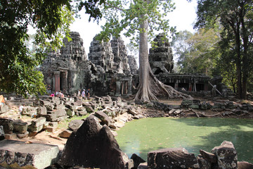 Pond near the temple in the middle of the jungle, Cambodia