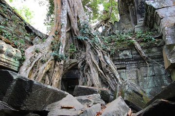 Ruins and walls of an ancient city in Angkor complex, near the ancient capital of Cambodia - Siem Reap