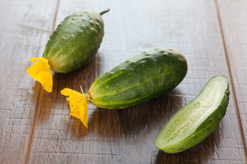Cucumber