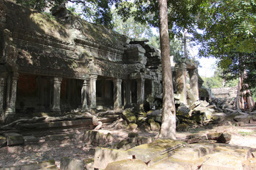 Fototapeta premium The ruins of an old temple in Cambodia