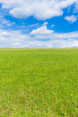 green field and blue sky with light clouds