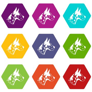 Great dane dog icon set color hexahedron